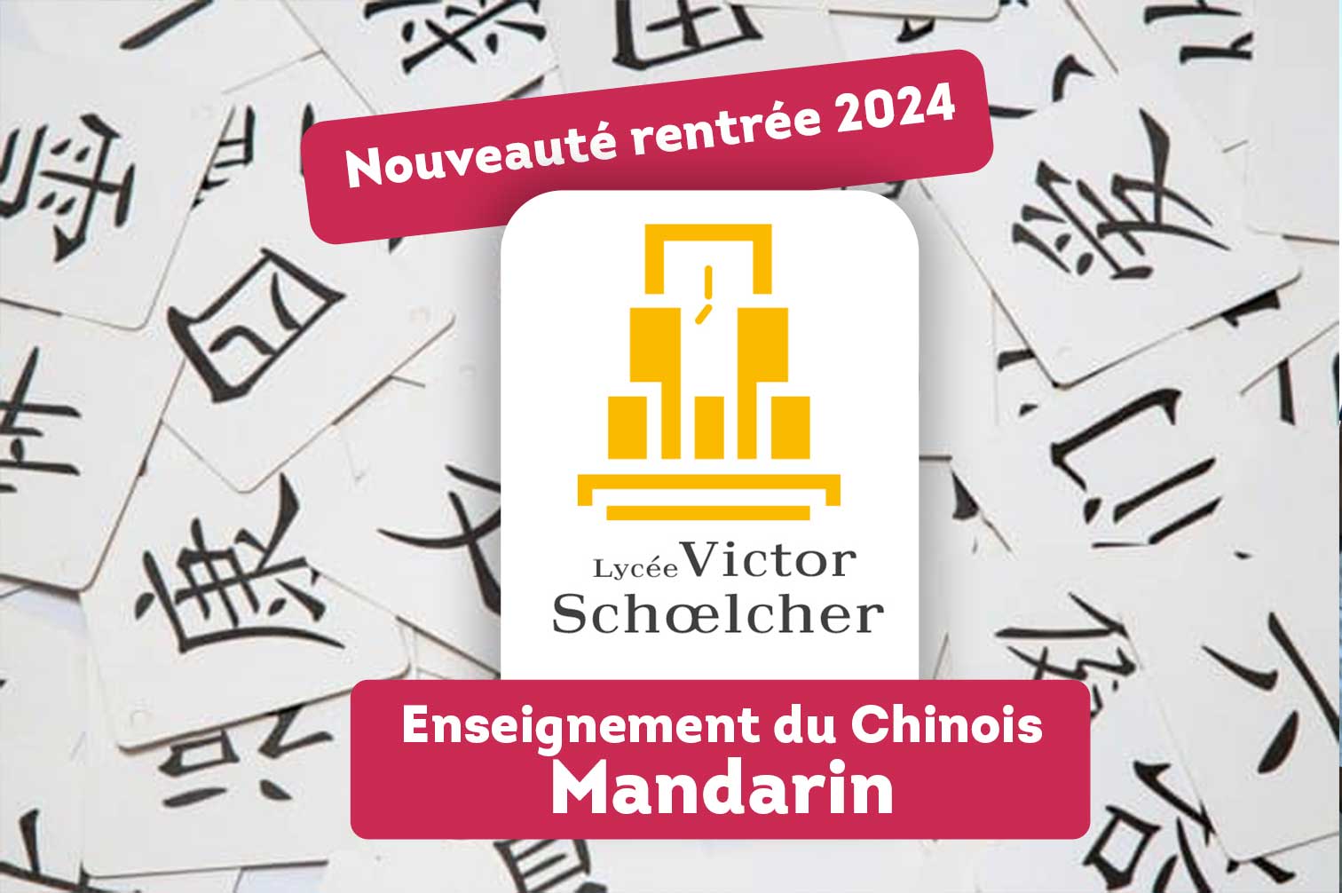 Lycee-schoelcher-option-mandarin-3